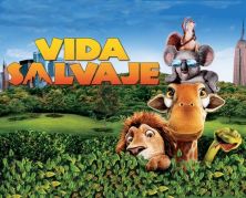 Vida salvaje 🐒